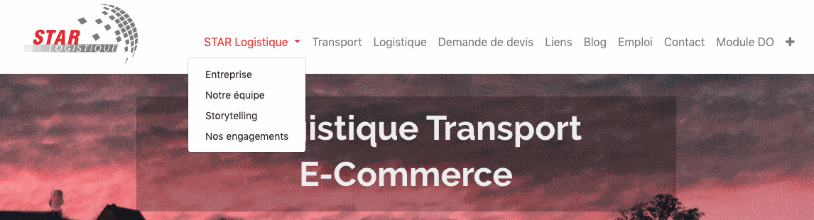 Odoo • Image et Texte