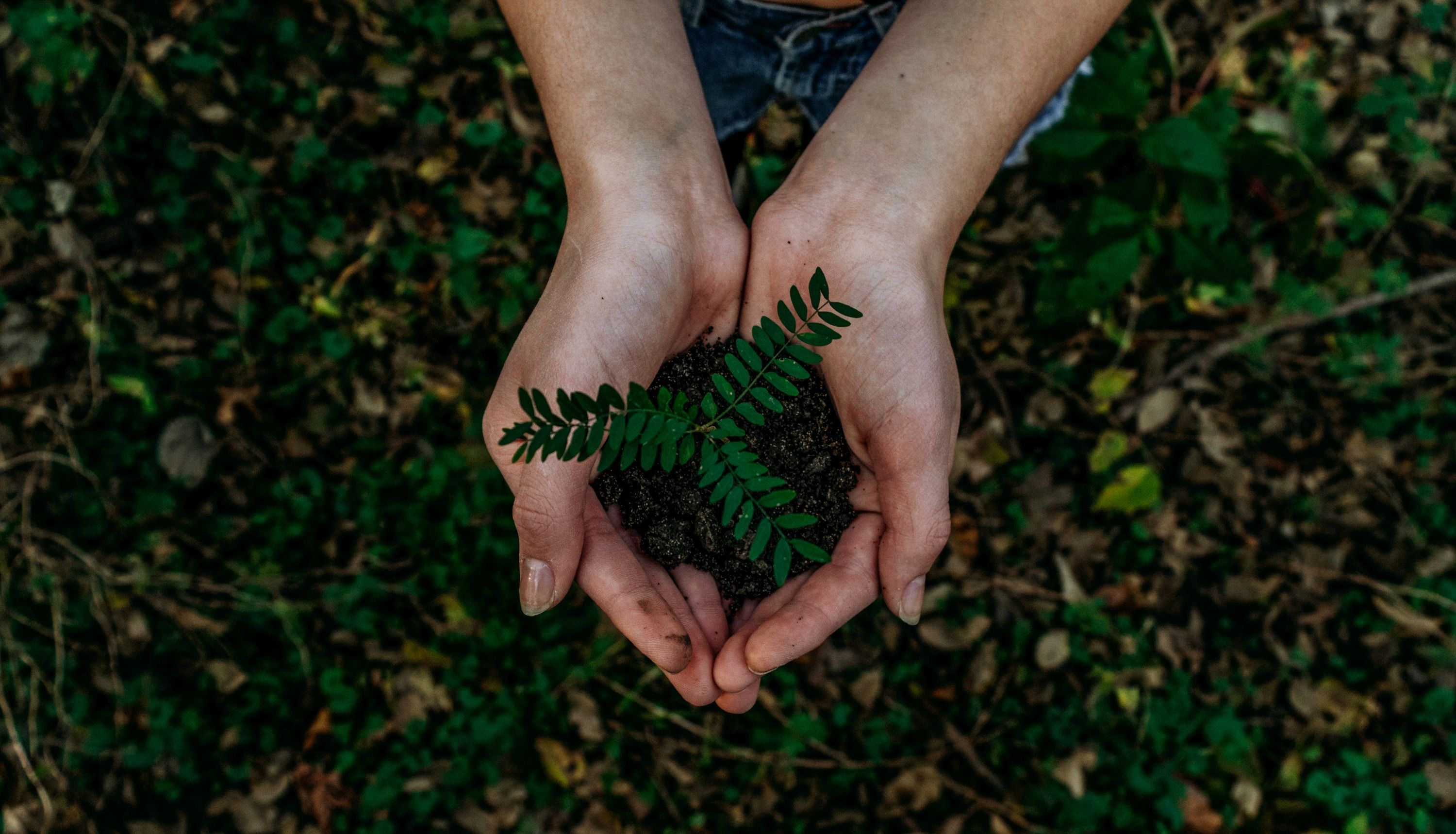 Star Logistique soucieuse de son environnement