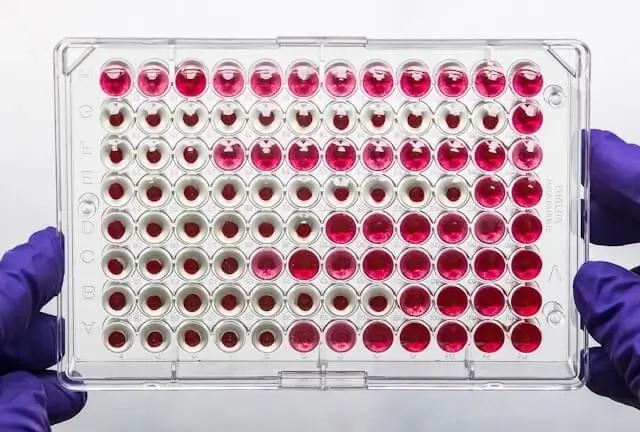 Une personne tient des échantillons biologiques.
